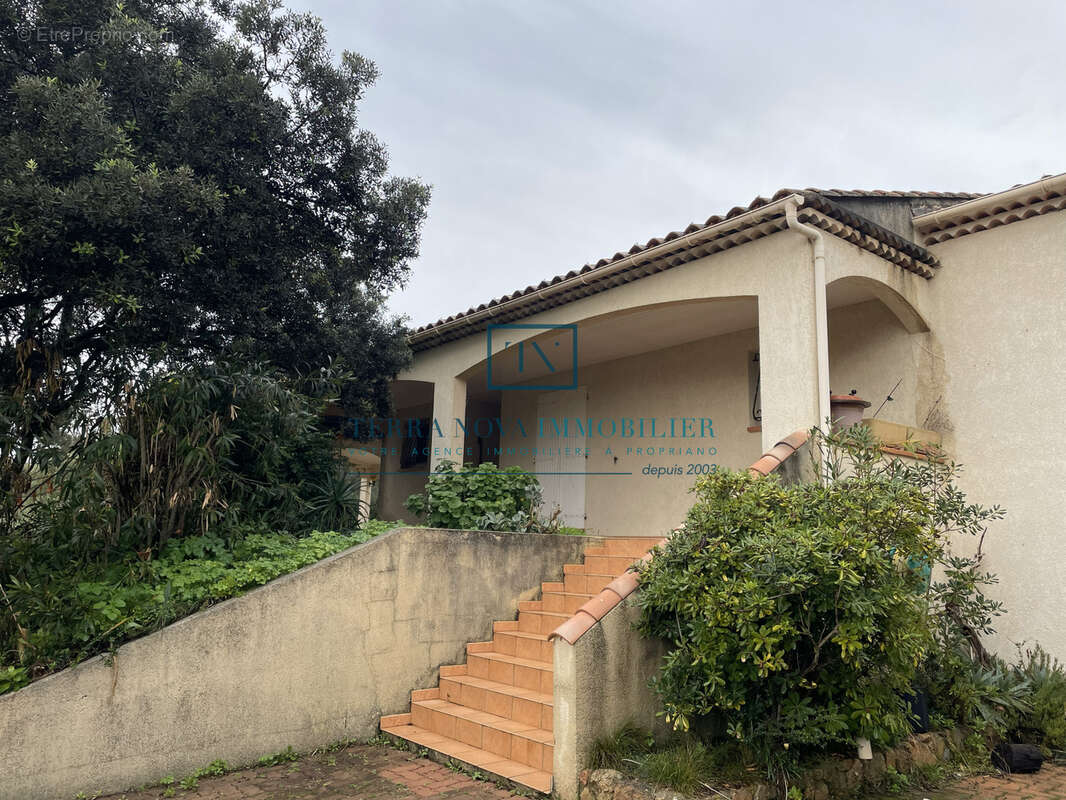 Villa plain-pied au coeur du Golfe du Valinco - photo 7