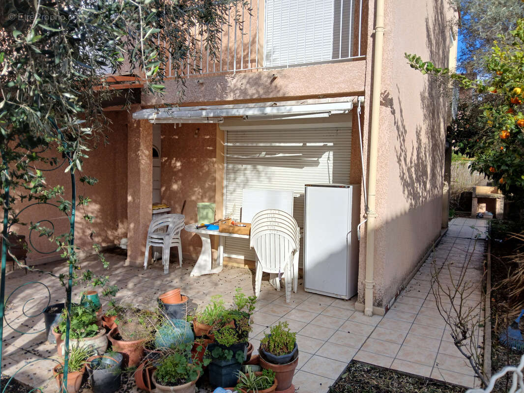 Ceret - quartier recherche - photo 3