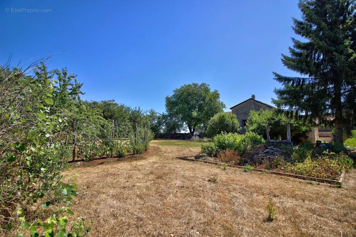 Maison 320 m², 5 chambres - photo 11