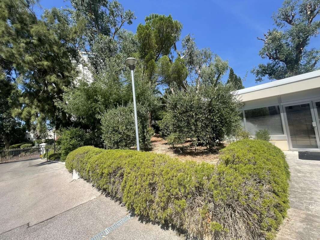 Cannes californie 320 m2 murs libres atypique local commercial ou professionnel 320 m2 prestigieux à cannes-quartier californie - photo 6