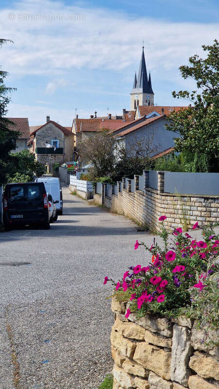 Grande maison de ville avec garage à Trept - photo 18