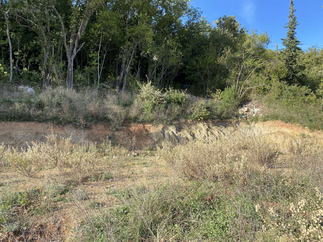 Terrain à CLERMONT-L&#039;HERAULT