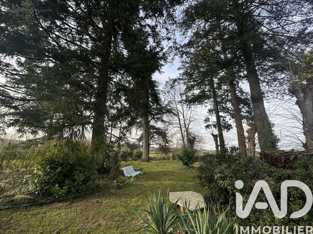 Photo 5 - Maison à COUCHES