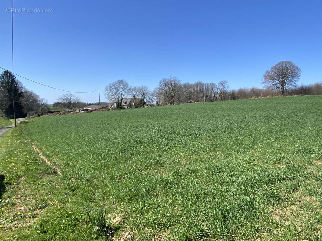 Terrain à SAINT-SORNIN-LAVOLPS