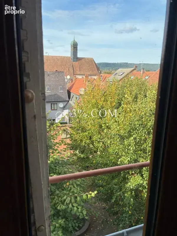 3%COM Belle maison de maître  dans l'hyper  centre de Savern - photo 25