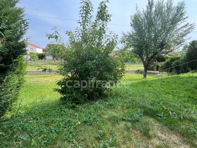 Maison à CHEVIGNY-SAINT-SAUVEUR