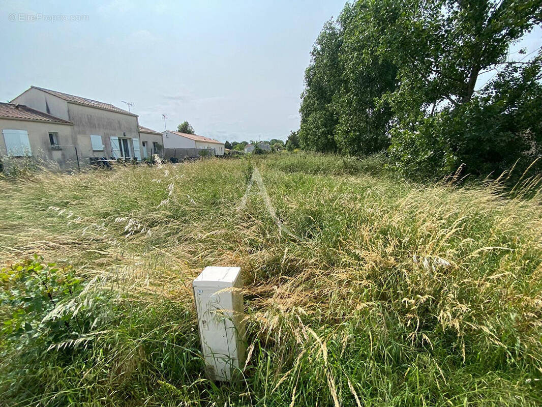 Terrain à SAINT-MICHEL-EN-L&#039;HERM