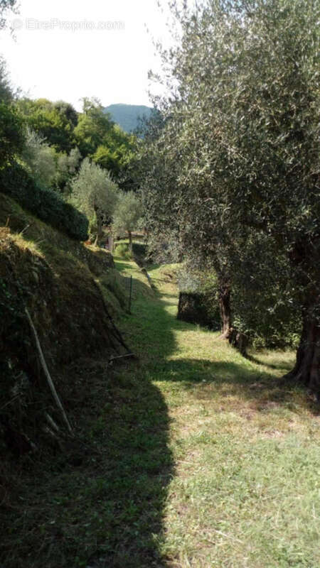Maison à BREIL-SUR-ROYA