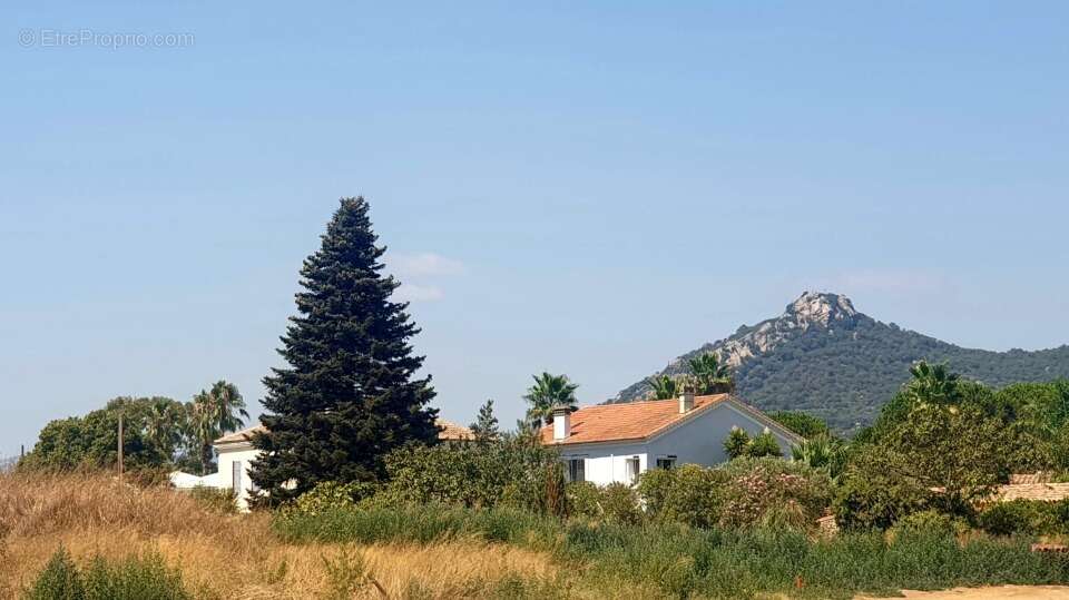 Terrain 281 m² à Hyeres  - photo 3
