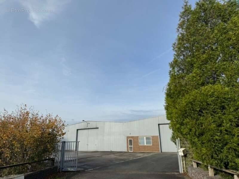 Commerce à ISBERGUES