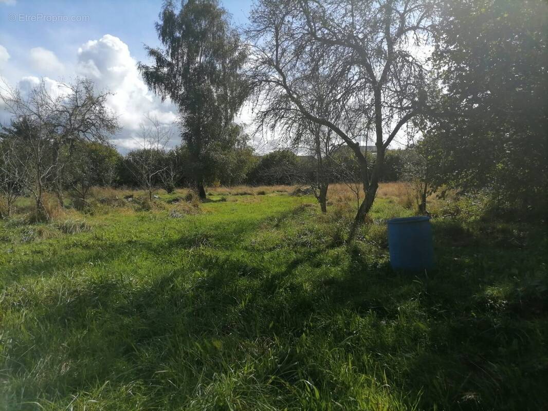 Terrain à SAINT-LEONARD-DE-NOBLAT