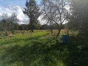 Terrain à SAINT-LEONARD-DE-NOBLAT