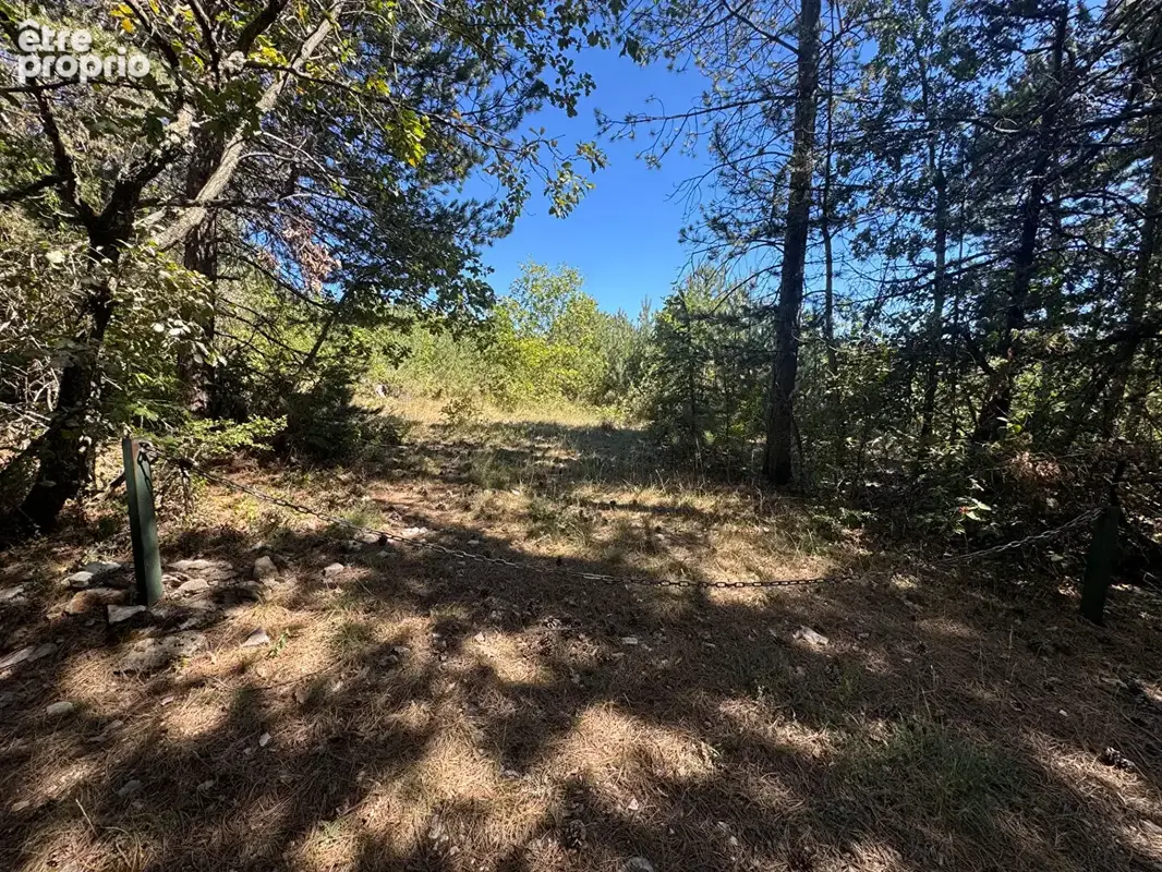 Terrain Sault 20196 m2 - photo 5