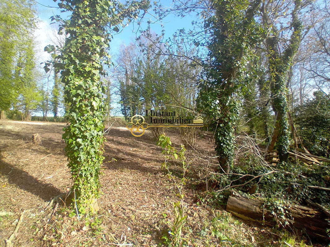 Terrain à SAINT-JEAN-DU-DOIGT
