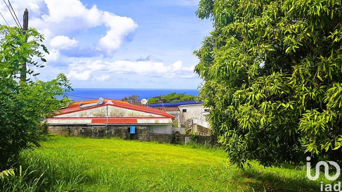 Photo 1 - Terrain à SCHOELCHER