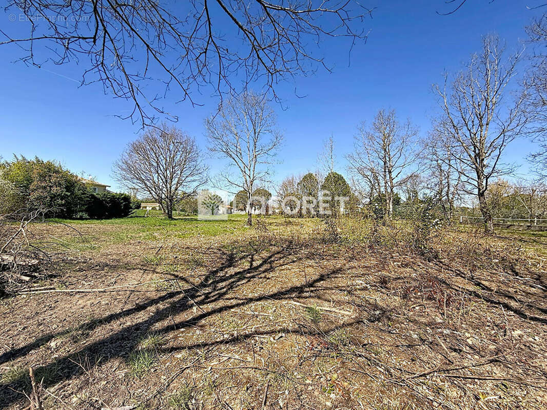 Terrain à VILLEMATIER