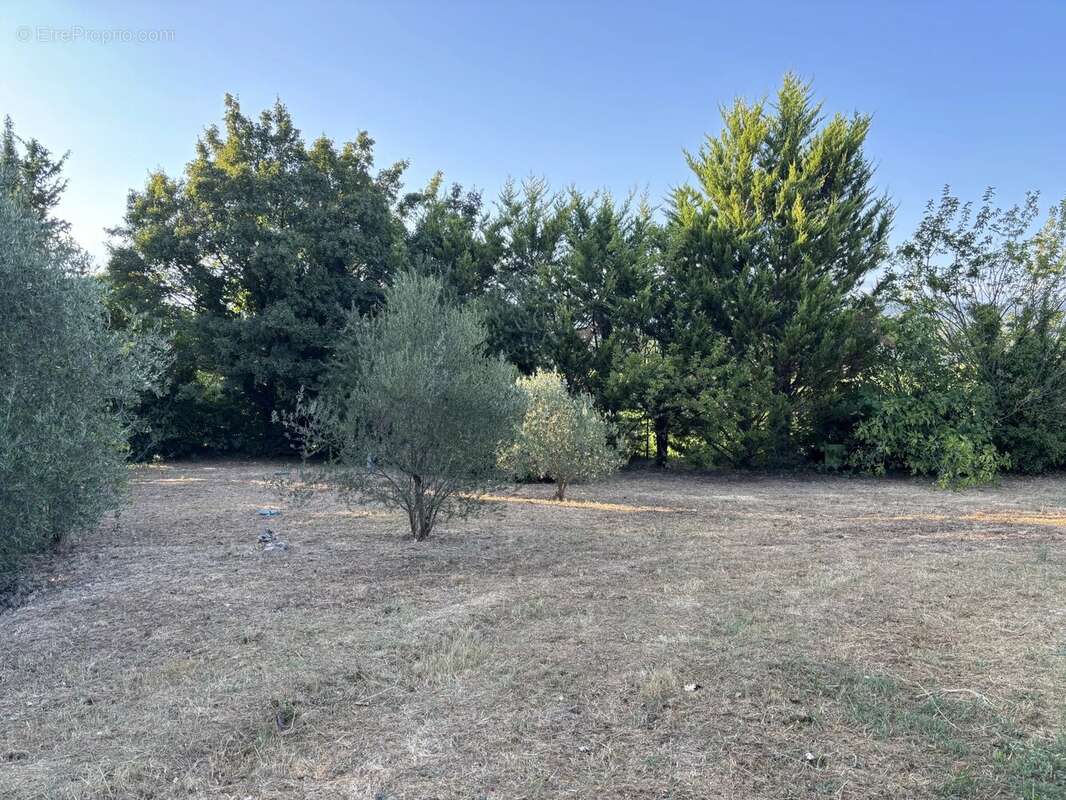 Maison à FIGANIERES