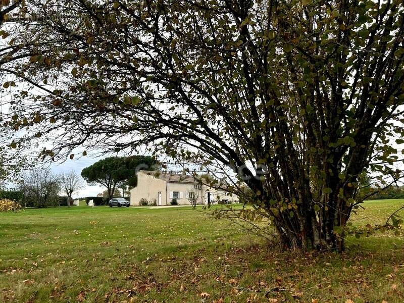 Maison à MARANSIN