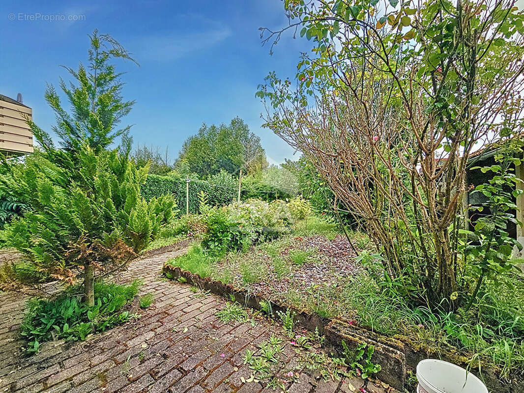 Maison à MONT-SAINT-MARTIN