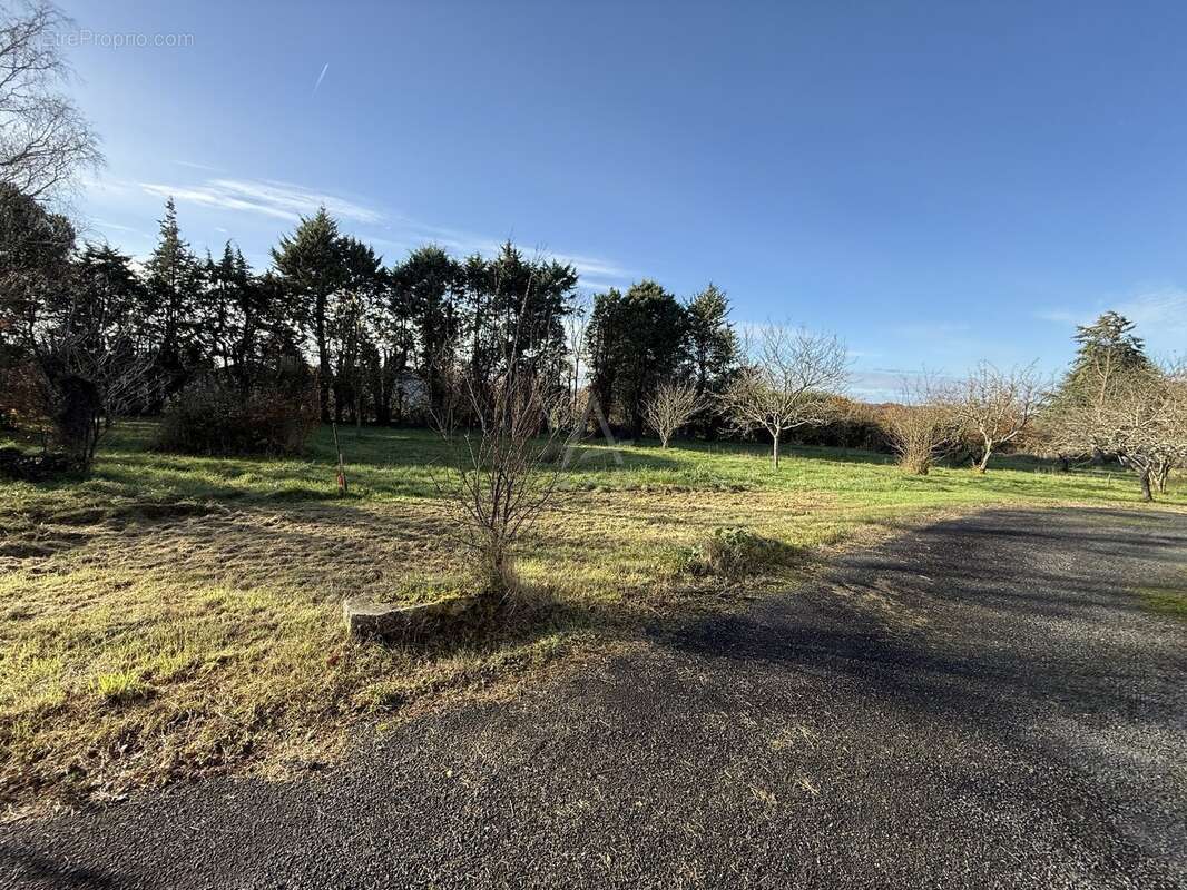 Terrain à MIGNALOUX-BEAUVOIR