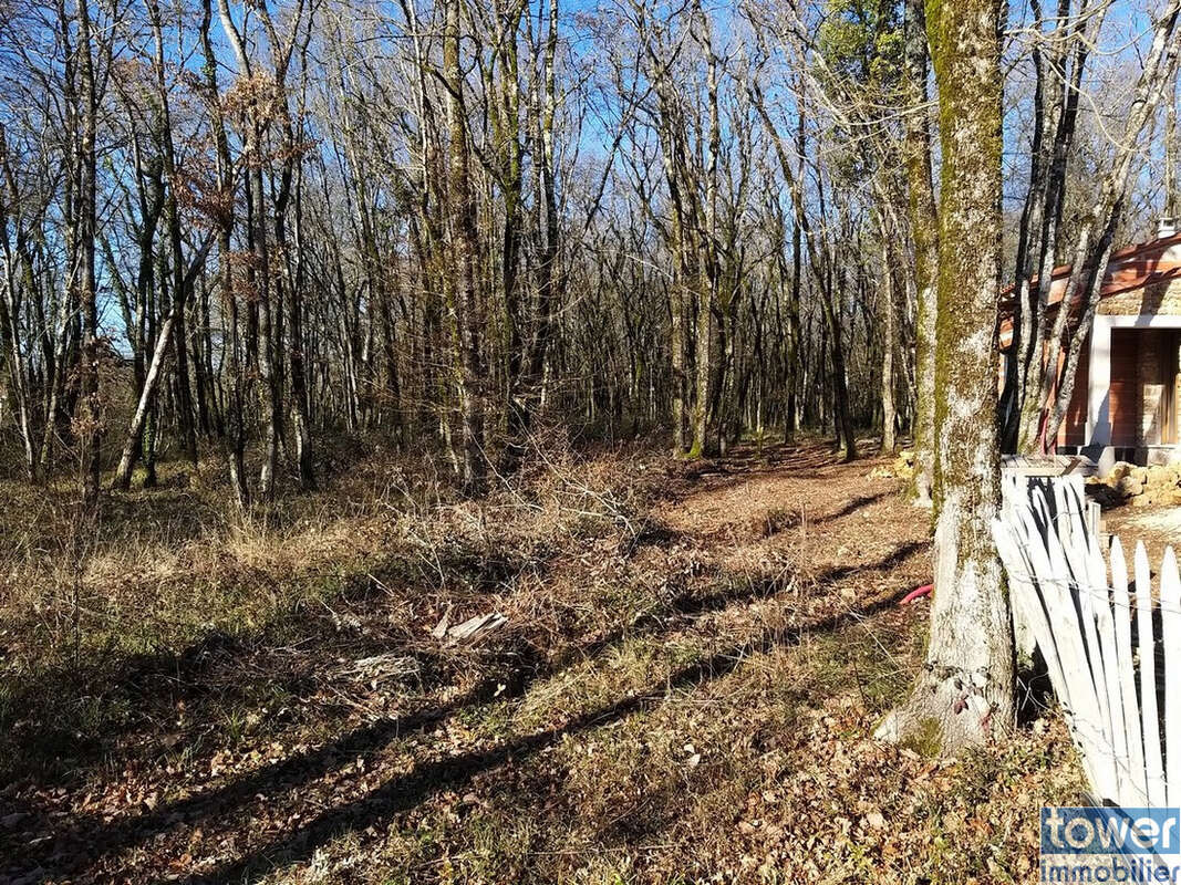 Terrain à PRANZAC