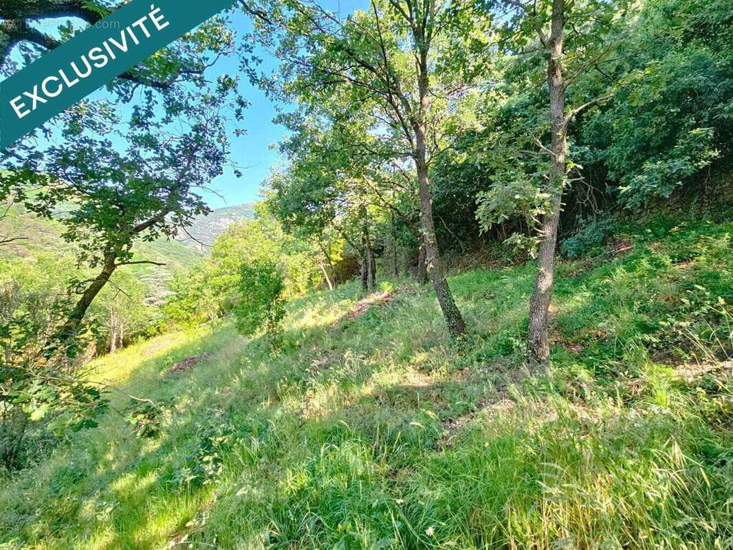 Photo 8 - Maison à GRAISSESSAC