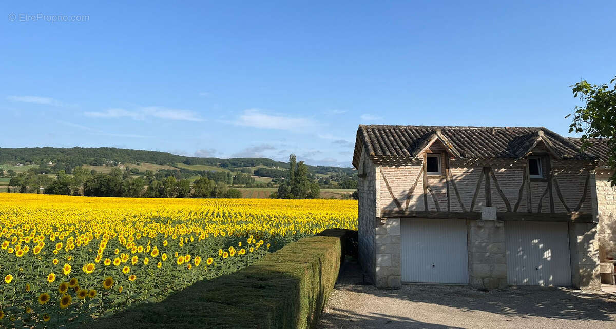 Maison à LAUZERTE