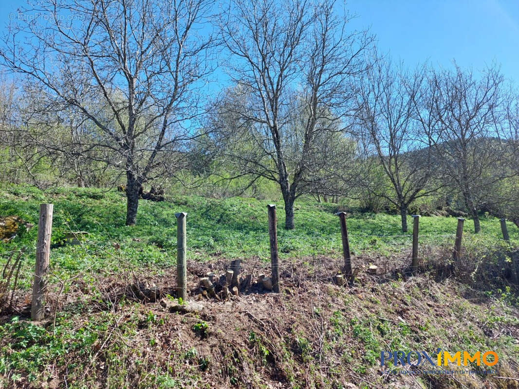 Terrain 697 m² à Allemond  - photo 2