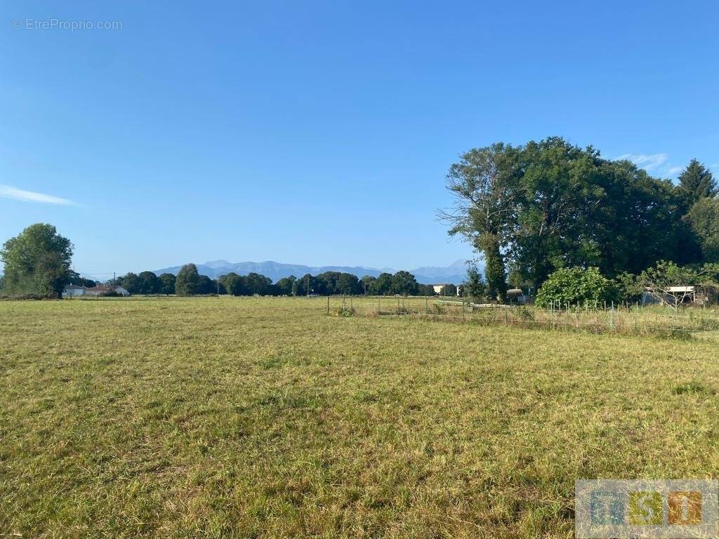 Terrain à LANNEMEZAN