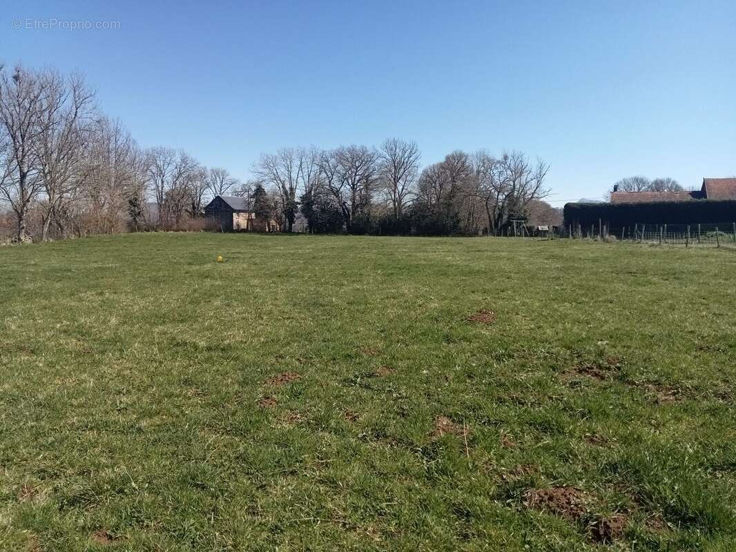 Terrain à BROMONT-LAMOTHE