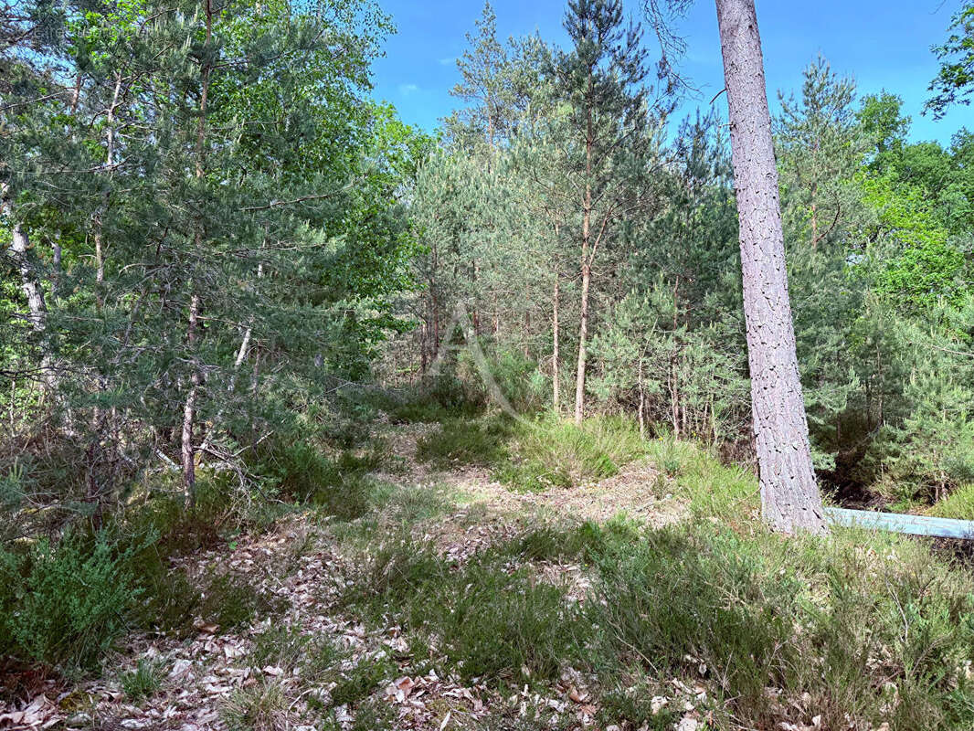 Terrain à ROMORANTIN-LANTHENAY