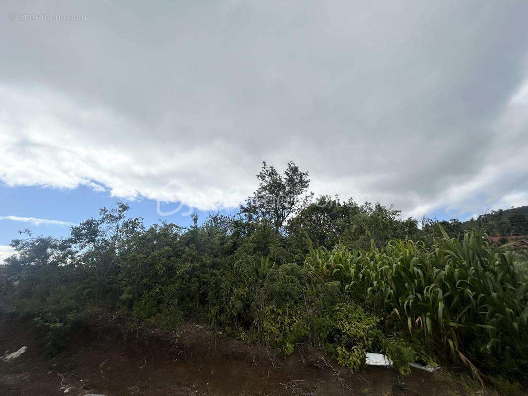 Parcelle de terrain constructible de 994 m2 (vue mer et montagne) - photo 6
