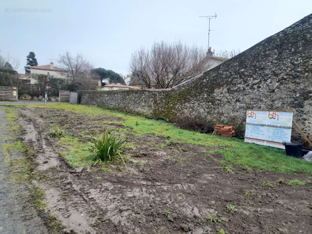 Terrain à LES HERBIERS