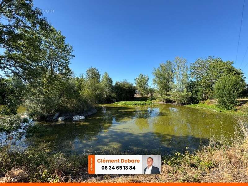 Étang privé avec terrain de loisirs - photo 3