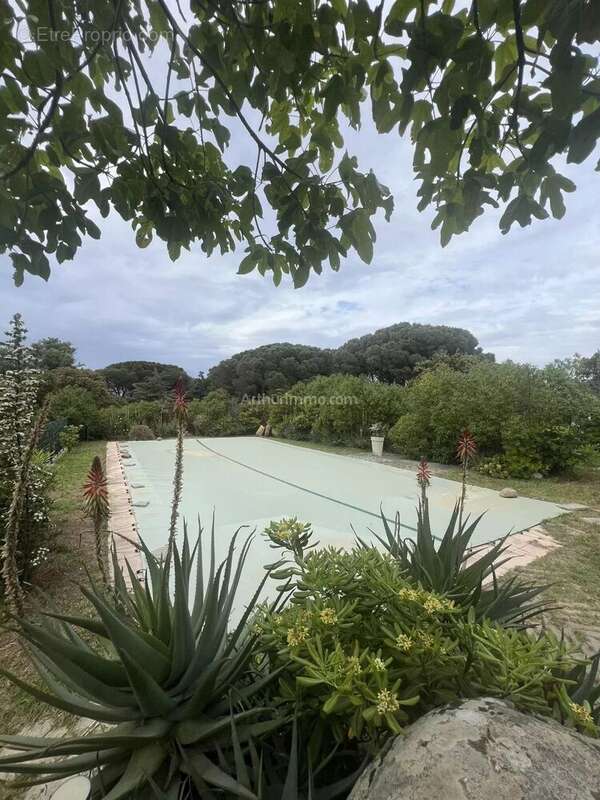 Maison à L&#039;ILE-ROUSSE