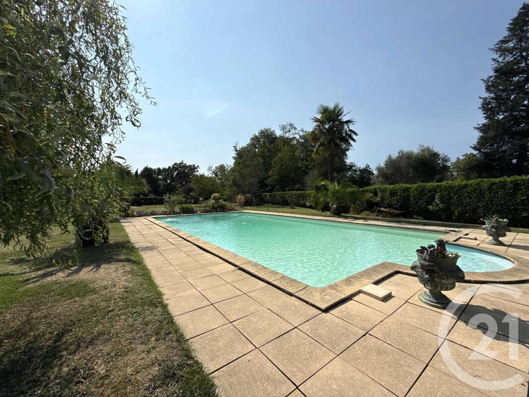 Maison 285 m² à Orthez  - photo 6