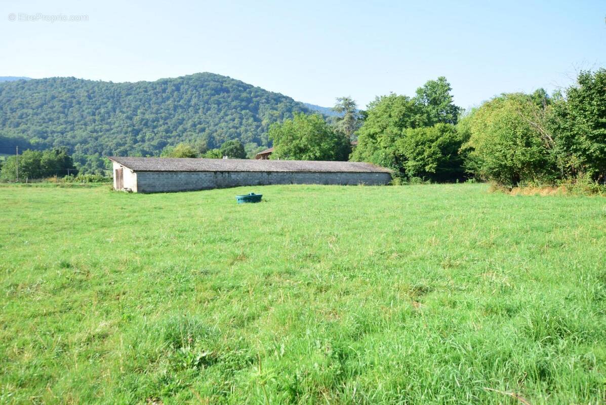 DSC_0506 - Terrain à SALIES-DU-SALAT