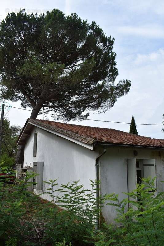 Maison plein pied de deux chambres au calme pres de la riviere a restaurer - photo 26