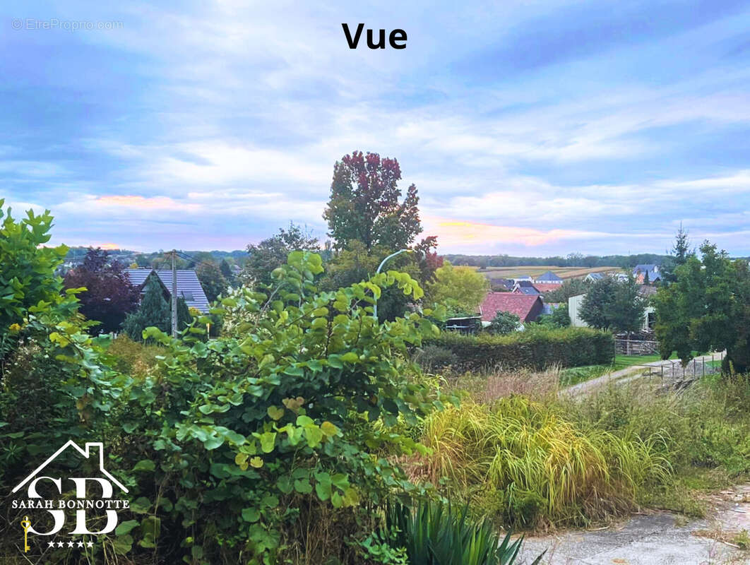 Terrain à BLOTZHEIM