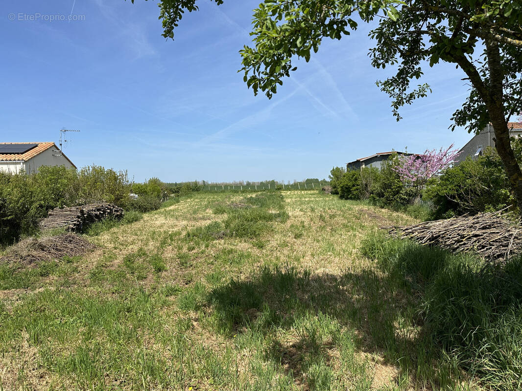 Terrain à AMURE
