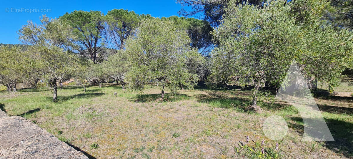 Terrain à SALERNES