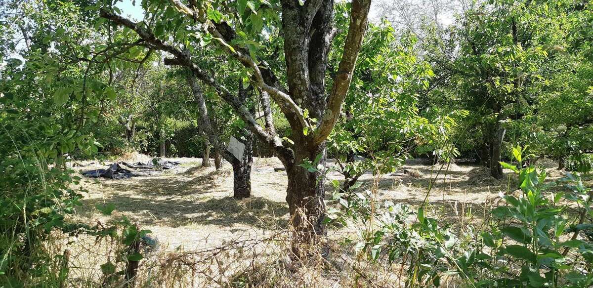 Terrain à SAINT-JULIEN-DE-VOUVANTES
