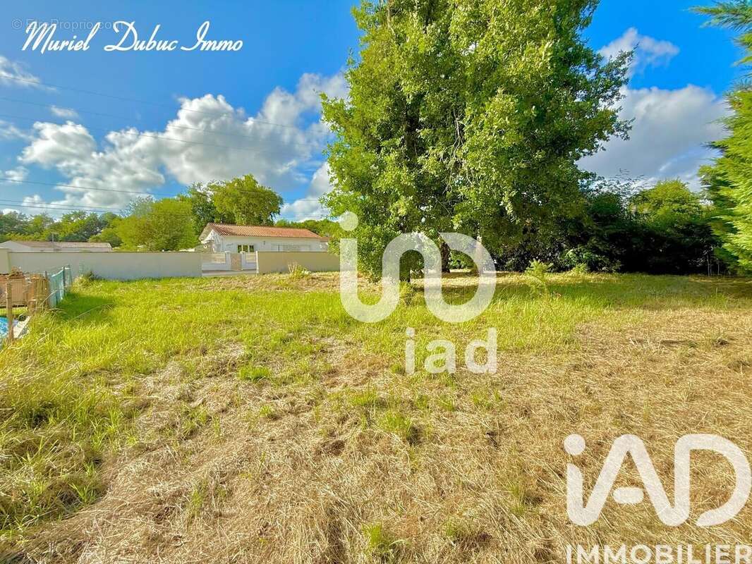 Photo 4 - Terrain à BREUILLET