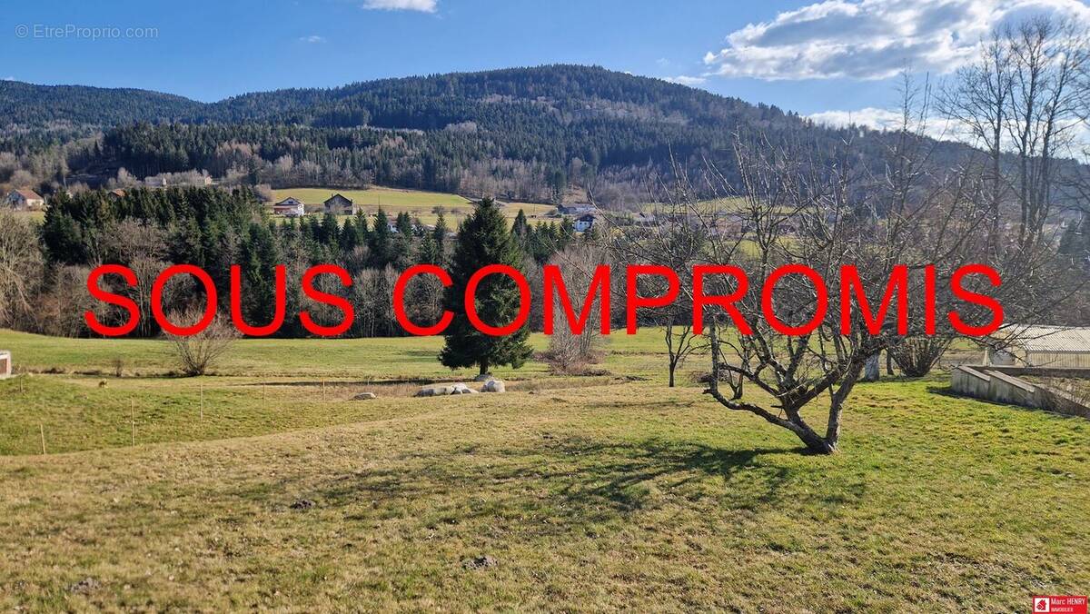 Terrain à CLEURIE