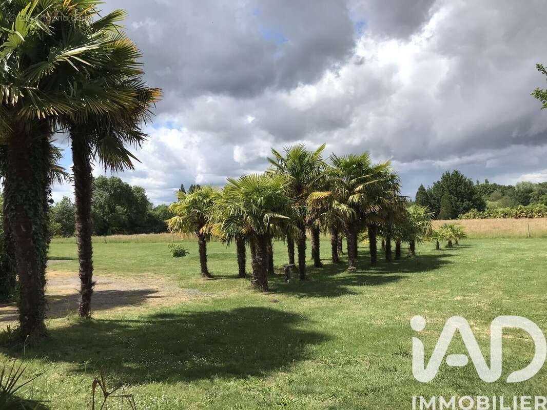 Photo 7 - Maison à MAUVES-SUR-LOIRE
