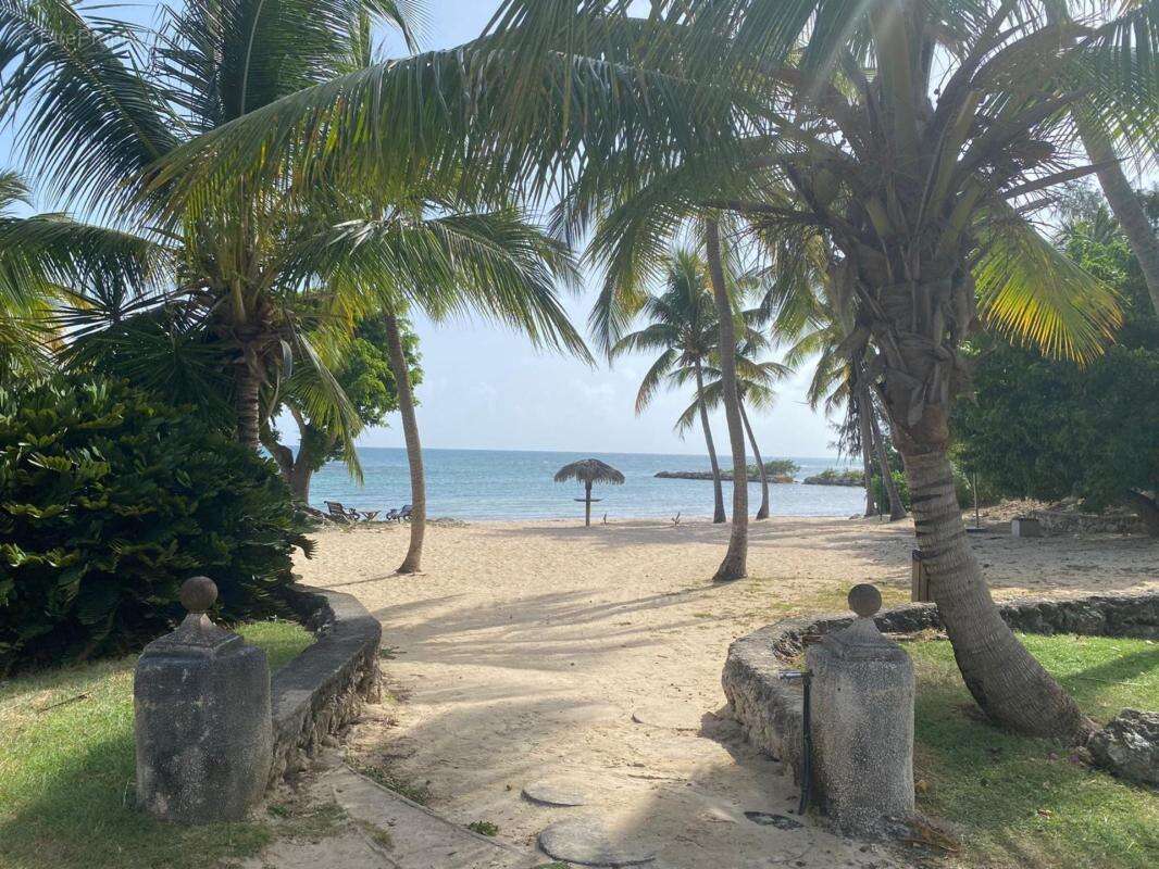 Un appartement à Anse des Rochers SAINT FRANCOIS (971) - photo 10