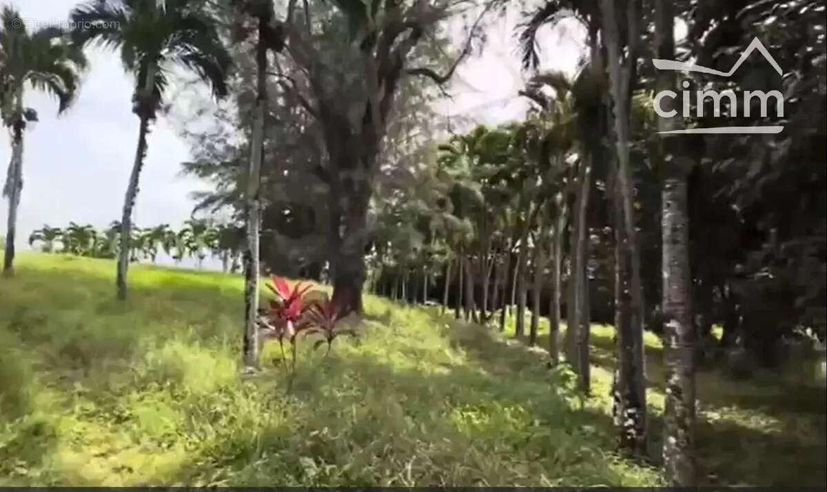 Maison à SAINT-JOSEPH