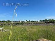 Terrain à LA POMMERAYE