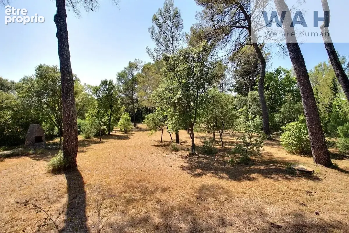 Terrain de loisirs - photo 2