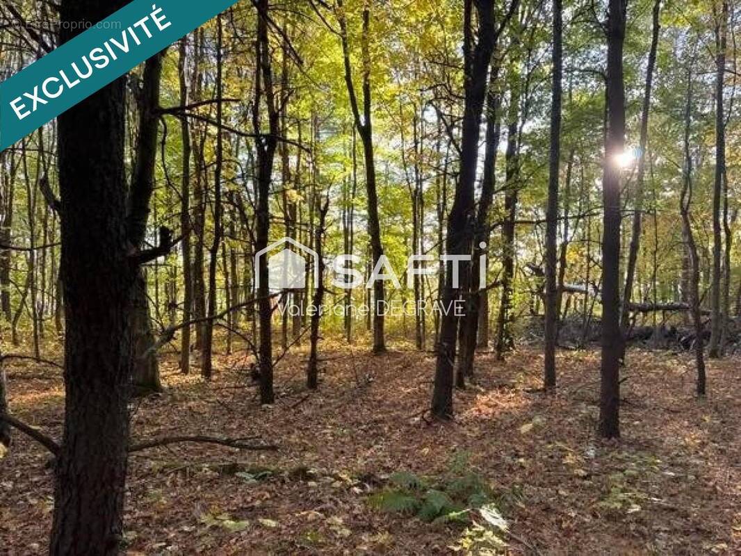 Photo 1 - Terrain à BOUVIGNY-BOYEFFLES